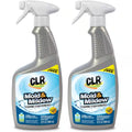 32 Oz. Mold & Mildew Remover Clear Cleaner (2-Pack)