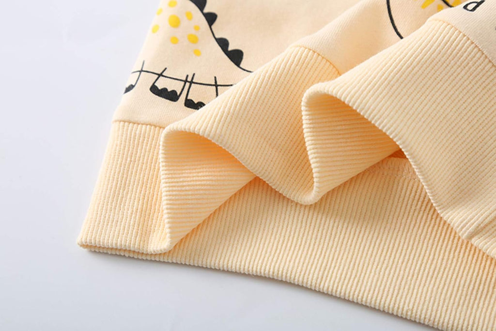 Toddler Baby Boy Clothing Sets Little Dinosaur Printed Long Sleeve Tops and Pants Kids 2Pcs Outfits